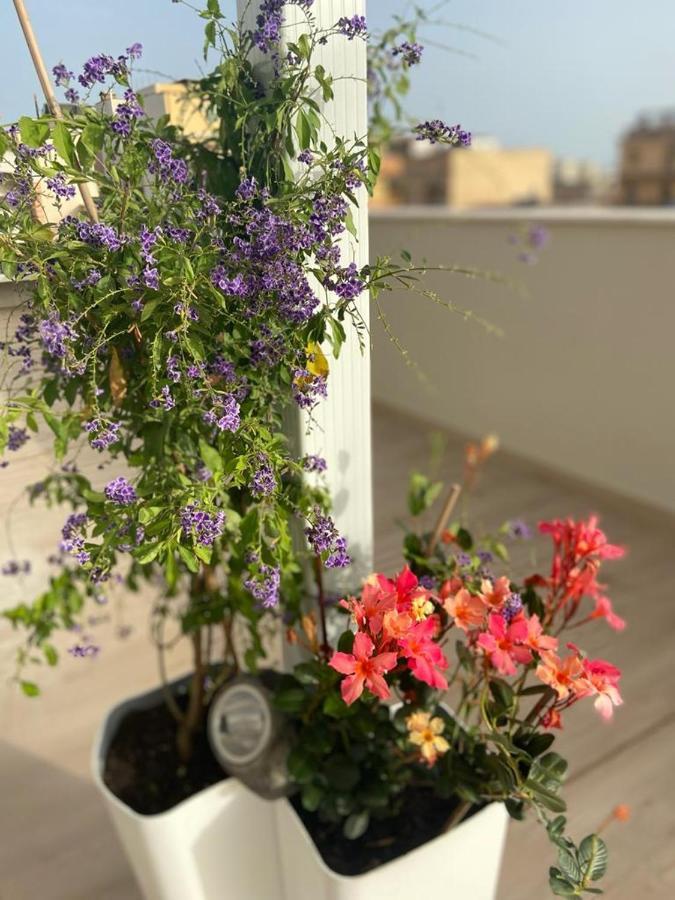 شقة Rossini Penthouse كالياري المظهر الخارجي الصورة